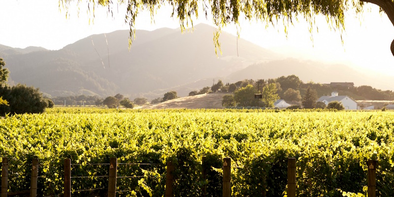 Mountain sunsets at Tamber Bey Vineyards.