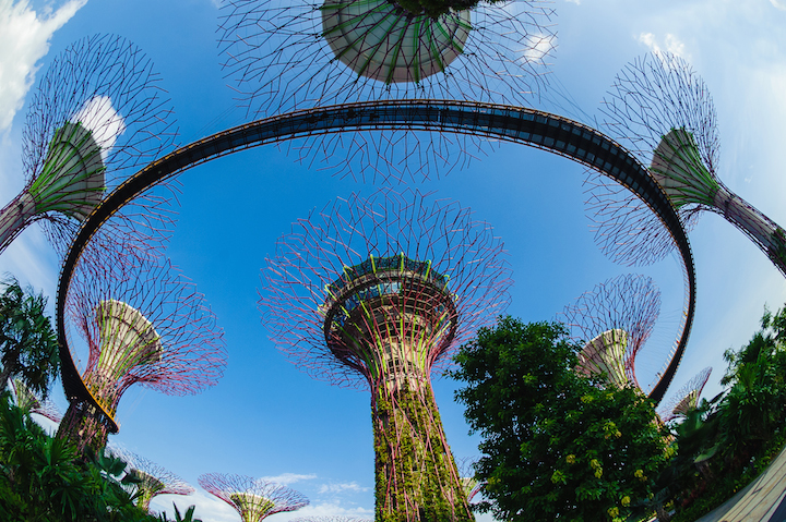 Gardens by the Bay
