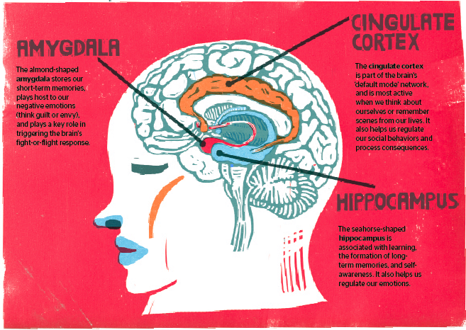 Illustration by Irene Rinaldi.