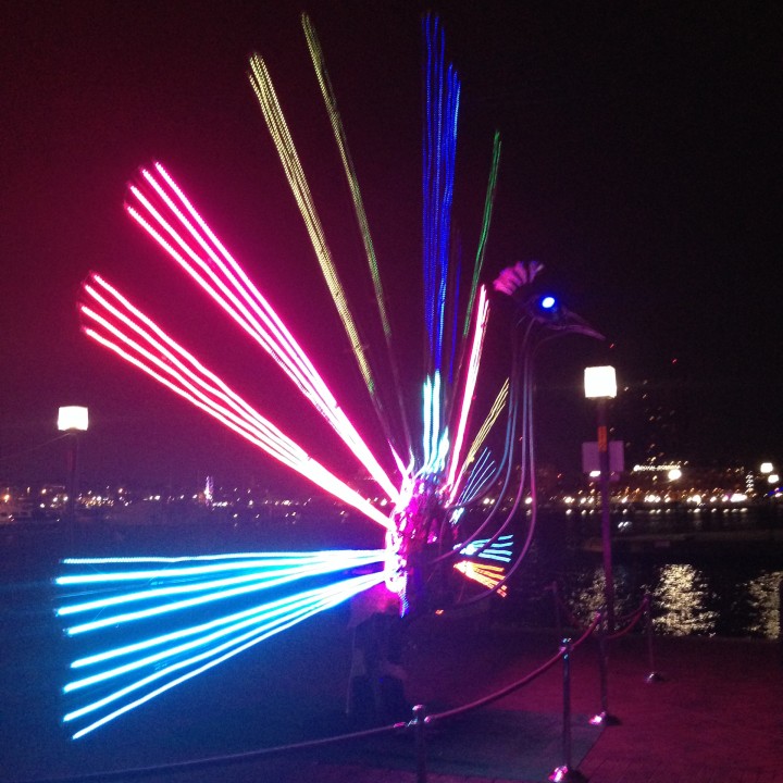 Light City_peacock