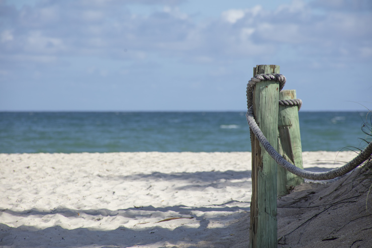 Wood Piling on Beach