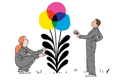 tamt_color